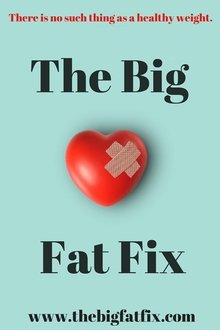 The Big Fat Fix movie poster