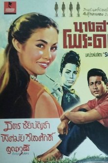 Miss Poradok movie poster