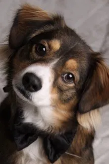 Lucky Hannah profile picture