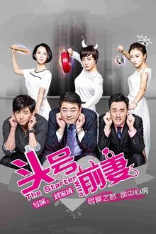 The Starter Wife tv show poster
