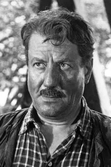 André Wasley profile picture