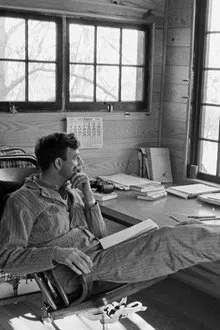 Wendell Berry profile picture
