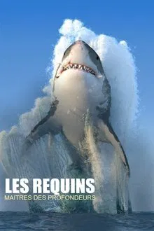 Les requins, maîtres des profondeurs movie poster