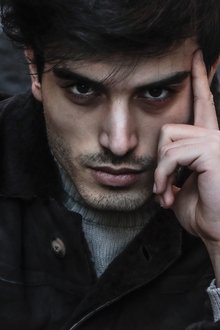 Lorenzo Lancellotti profile picture