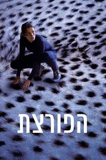 The Burglar movie poster