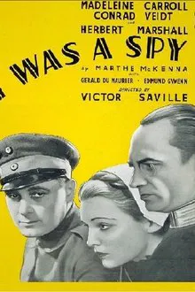 I Was a Spy movie poster