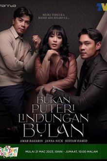 Bukan Puteri Lindungan Bulan tv show poster
