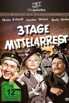 Drei Tage Mittelarrest movie poster