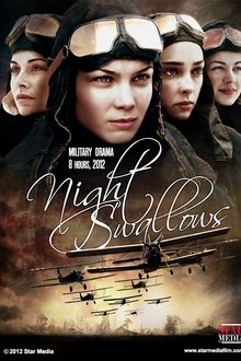 Night Swallows tv show poster