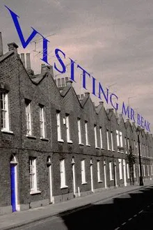 Visiting Mr Beak movie poster
