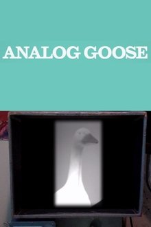 Analog Goose movie poster