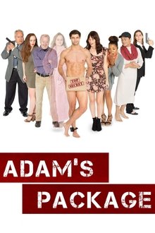 Adam's Package movie poster