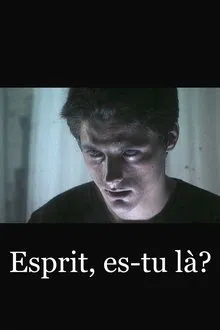 Esprit, es-tu là? movie poster