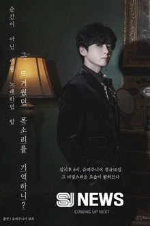 SJ NEWS tv show poster