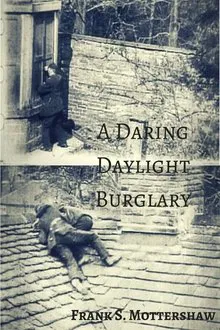 Poster do filme A Daring Daylight Burglary