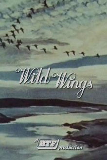 Wild Wings movie poster