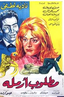 Widow Wanted movie poster