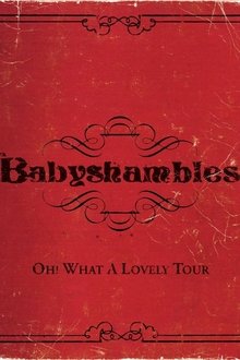 Oh! What a Lovely Tour - Babyshambles Live movie poster