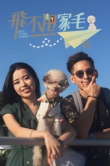 Best Flying Furries BFF tv show poster