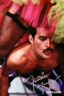 Never Boring - The videos movie poster