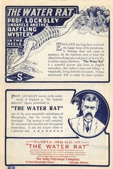 The Water Rat movie poster