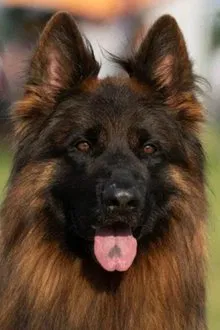 Эрос Тим Торретта profile picture