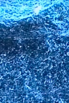 Microscopías movie poster