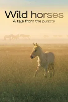 Wild Horses - A Tale From The Puszta movie poster