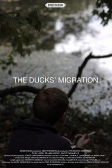 The Ducks' Migration movie poster
