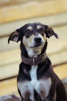 Foto de perfil de nenem