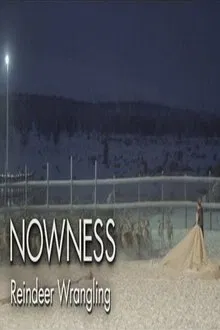 Untold Odyssey: Reindeer Wrangling movie poster