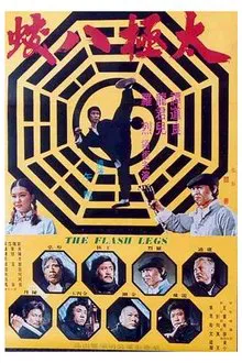 Shaolin Deadly Kicks movie poster