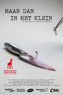 Poster do filme Maar dan in het klein