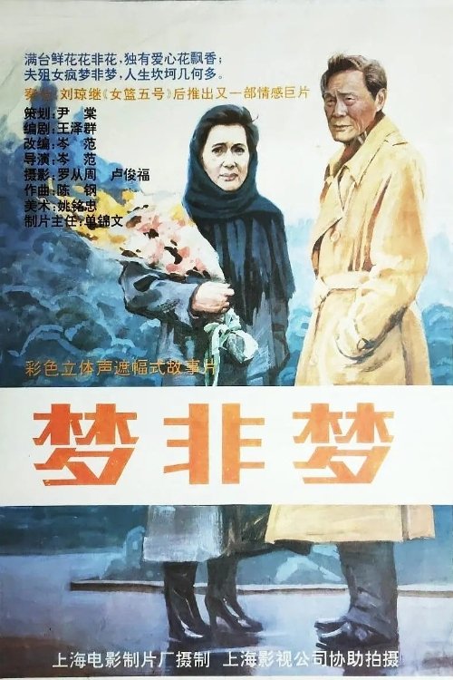 梦非梦 movie poster