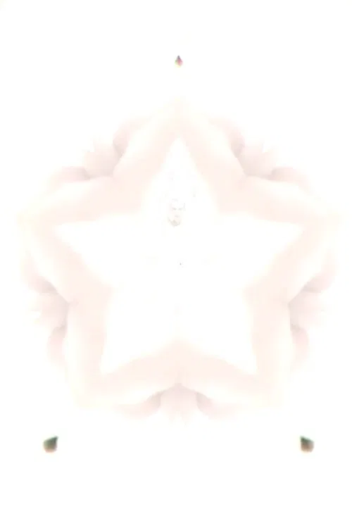 Flower of Flesh, Celestial Body movie poster