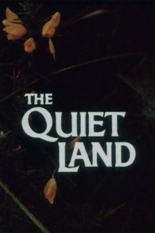 The Quiet Land movie poster