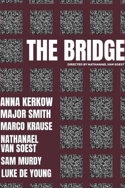 Poster do filme The Bridge