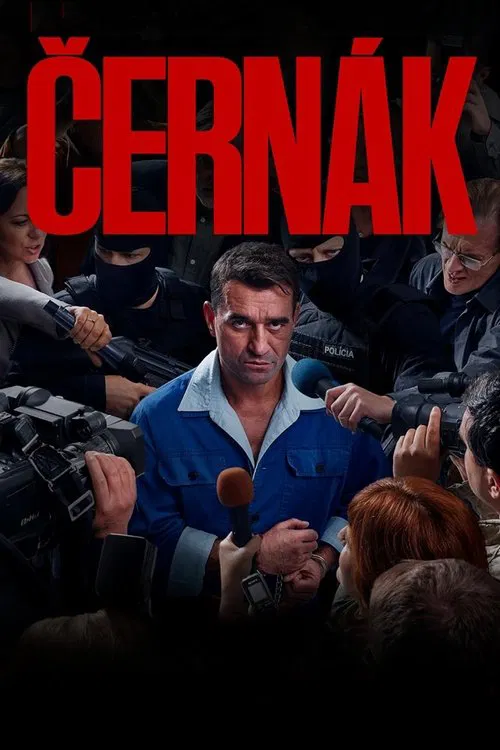 Poster do filme ČERNÁK