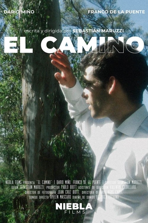 El camino movie poster
