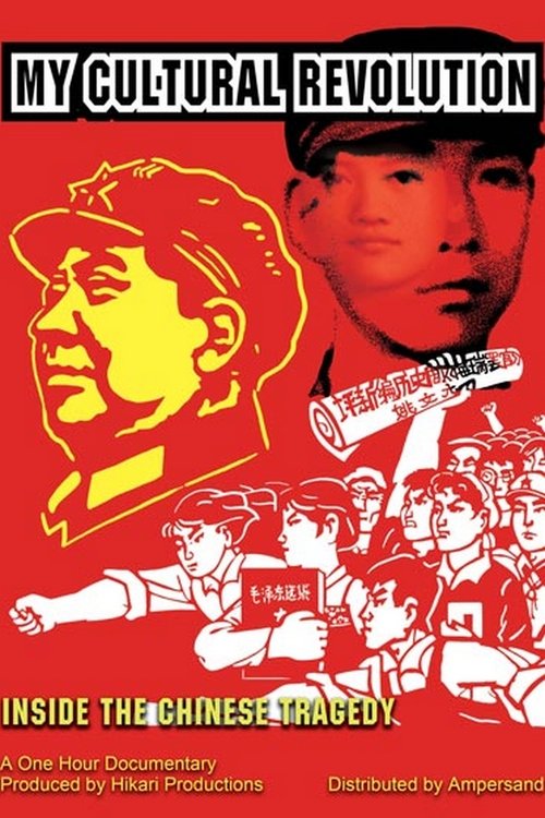 Ma révolution culturelle movie poster