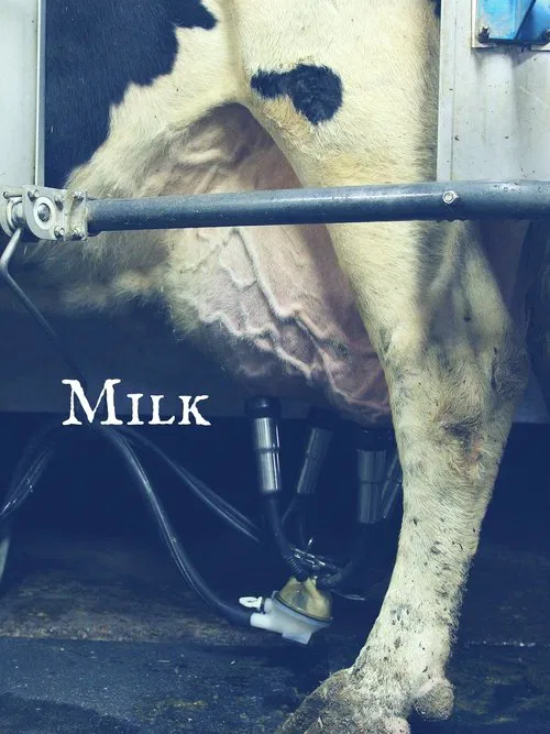 Milk movie poster
