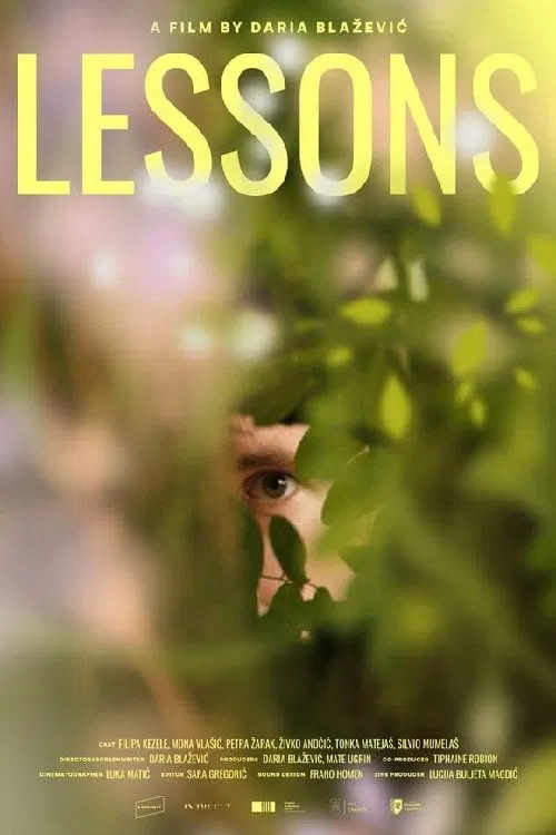 Poster do filme Lessons