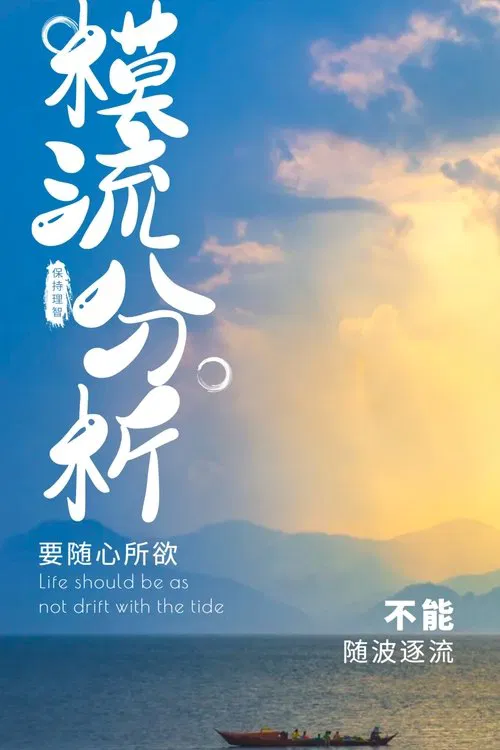 模流分析教材 tv show poster