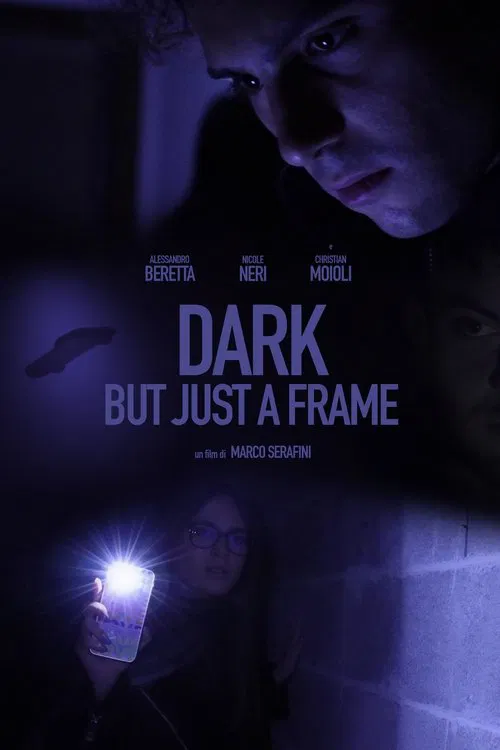 Dark But Just a Frame movie poster