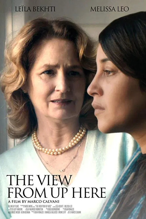 The View from Up Here movie poster