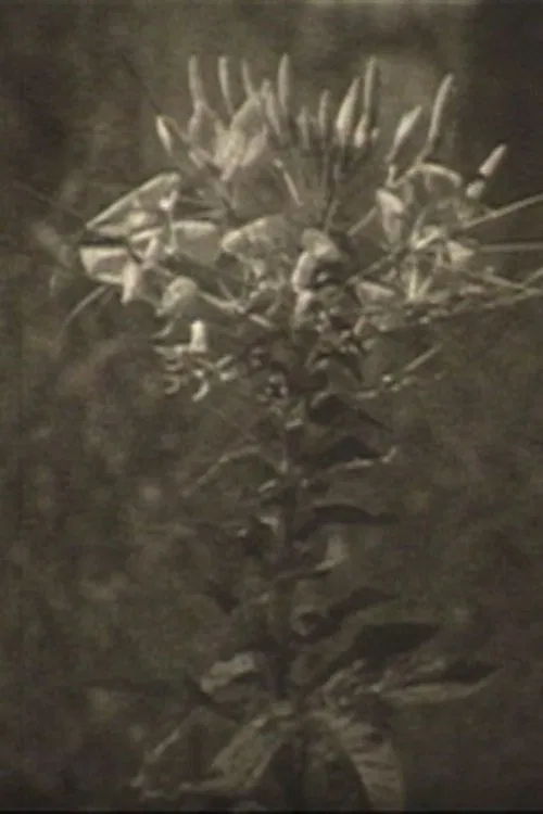 There Is Tomorrow movie poster