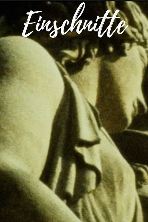 Einschnitte movie poster