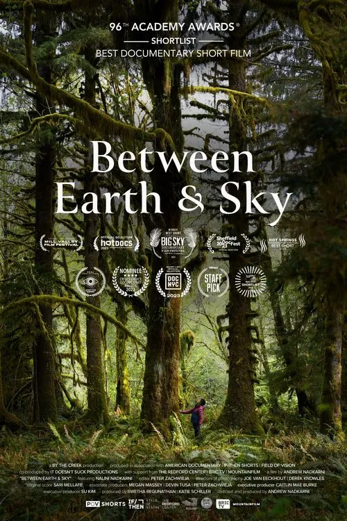 Between Earth & Sky movie poster