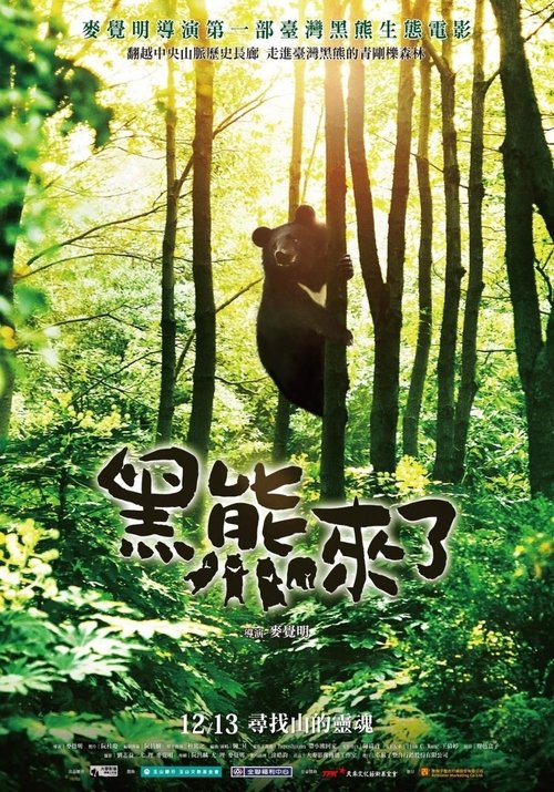 Formosan B.B. is Coming movie poster