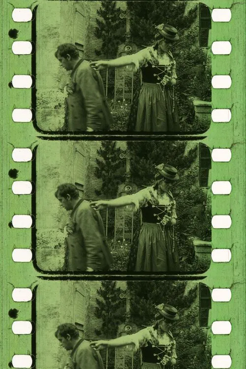 Poster do filme Der Sonnwendhof